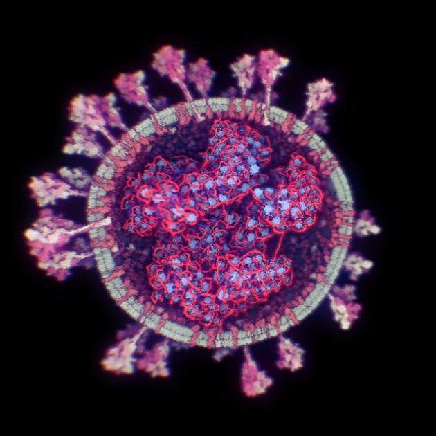 Do brže analize podataka: Bečki naučnici omogućili 3D prikaz koronavirusa FOTO/VIDEO