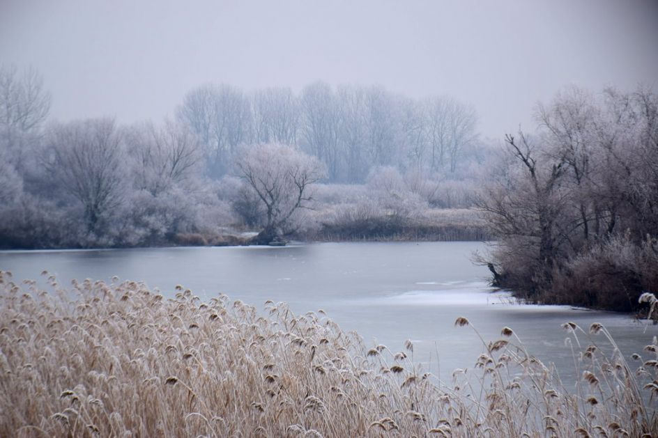 Do kraja januara bez prave zime, temperatura u porastu