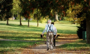Dobre vesti za penzionere: Ove godine više prostora za povećanje penzija
