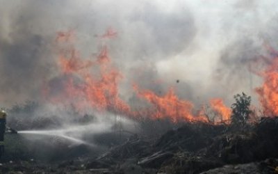 Dodela pomoći poljoprivrednim gazdinstvima stradalim u požarima