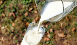 Dolovac: Mleko u Srbiji zadovoljavajućeg kvaliteta 
