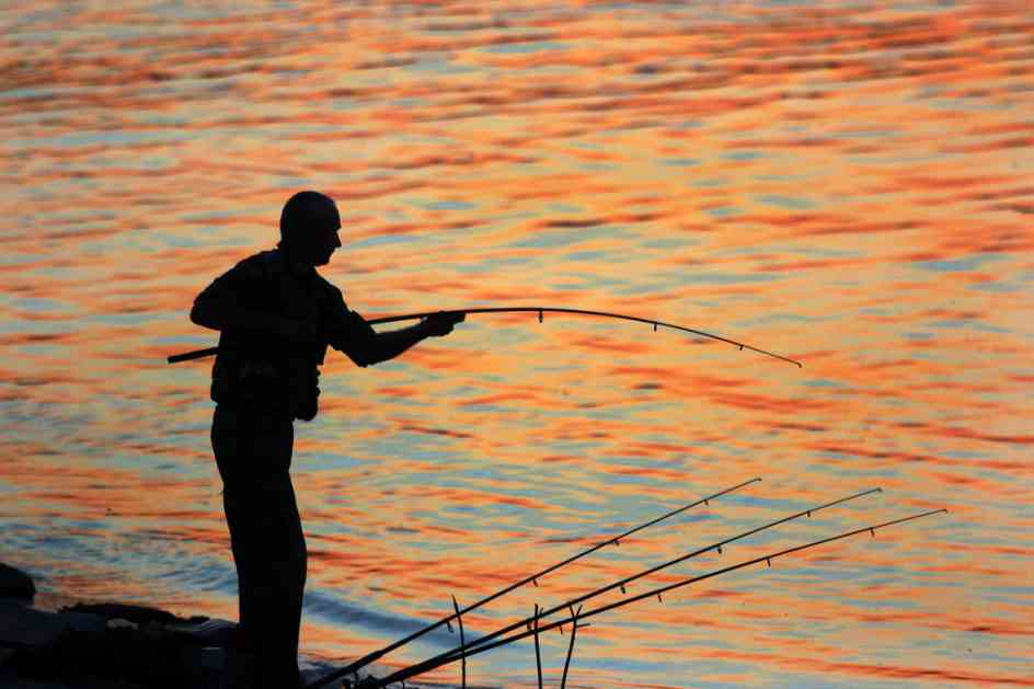Dozvole za ribolov skuplje ove godine
