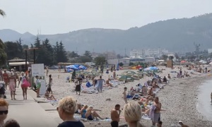 Drama na plaži u Baru! Bor star 60 godina srušio se na decu, ima povređenih!