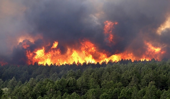 Drama u Ulcinju: Požar se brzo širi, evakuacija u toku