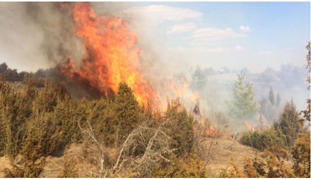Dramatična slika požara u Sjenici: Ovako izgleda kad paljenje strnjike krene po zlu (FOTO)