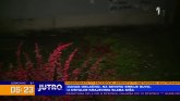 Drska krađa u centru: Preko noći nestalo cveće i sadnice ispred Skupštine grada VIDEO