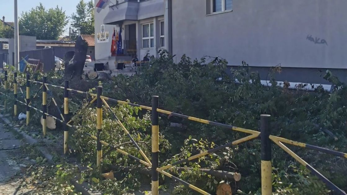Drveće zamijenili betonom: Desetak stabala uklonjeno iz dvorišta OŠ “Stefan Nemanja”