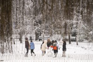 Dunavski park dobio prvog sneška