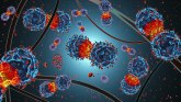 Dva proteina presudna za ulazak koronavirusa u ćelije