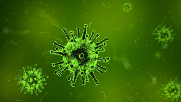 Dva smrtna ishoda koja se mogu dovesti u vezu s gripom