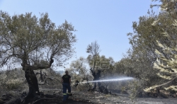 Dva velika požara bukte u Grčkoj, na Rodosu i na Peloponezu