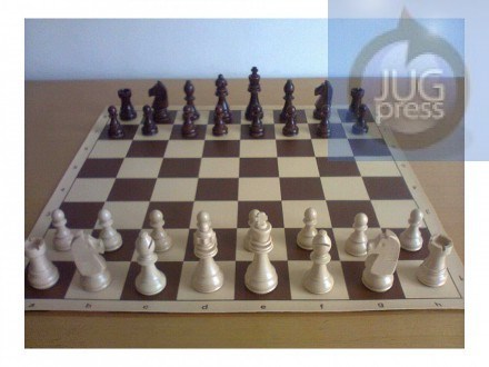 Dvoje nišlija šampioni Evrope u amaterskom šahu