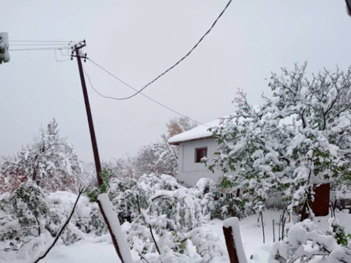 EDS Leskovac tvrdi da je većina kvarova otklonjena, meštani Crne Trave poručuju da su i dalje bez struje