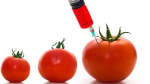 EK: Aktuelizovane dileme o GMO