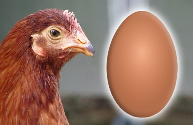 EKSKLUZIVNO Srbija zabranila uvoz jaja i zivine iz ovih drzava
