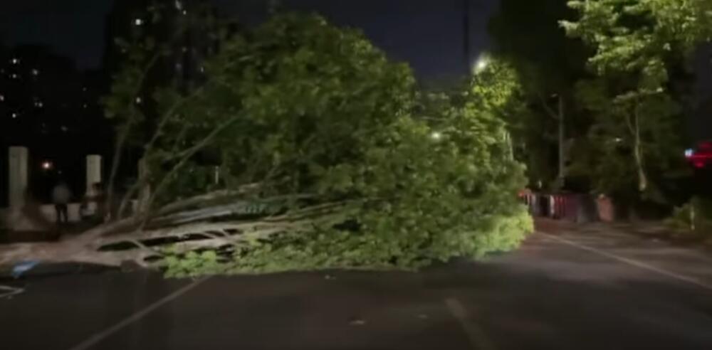 EKSTREMNO NEVREME Snažna oluja u Kini odnela 11 života: Vetar rušio kuće i kidao drveće VIDEO