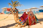 Egipat otkrio kako će obnoviti turizam: Do oktobra bez jedne od omiljenih atrakcija