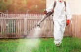 Ekipe JKP Gradska čistoća danas od 18 časova sprodove tretmane suzbijanja komaraca