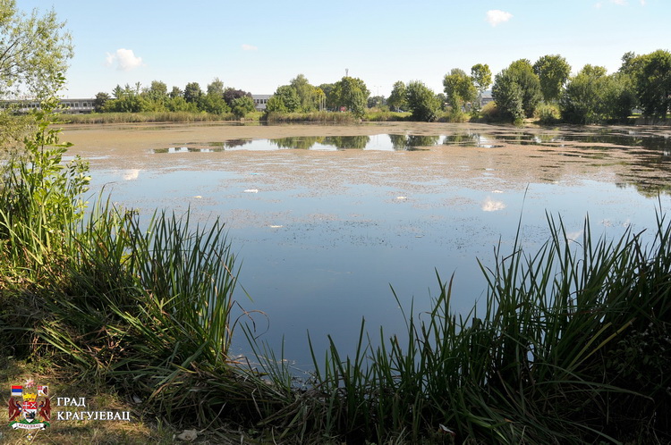 Ekološka kampanja SBB na jezeru Bubanj