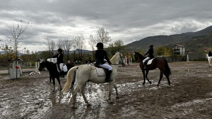 Elegancija i snaga na „Kupu kneza Mihaila“ – konjički sport se vratio u Niš posle četvrt veka