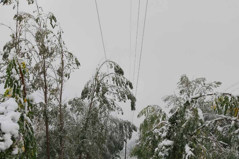 Elektrodistribucije Srbije: Smanjen broj korisnika bez električne energije, ekipe na terenu