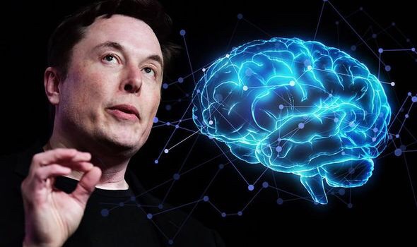 Elon Musk: Uskoro stiže dokaz da Neuralink radi!