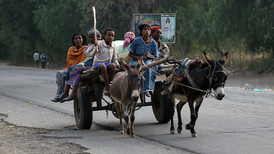 Etiopija zemlja sa najviše magaraca