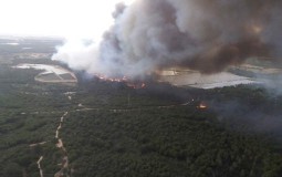 
					Evakuisano 1.000 ljudi zbog šumskog požara u Španiji 
					
									