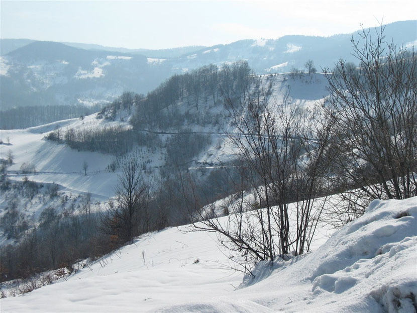 Evo koliko će hladno biti u Srbiji u narednih sedam dana