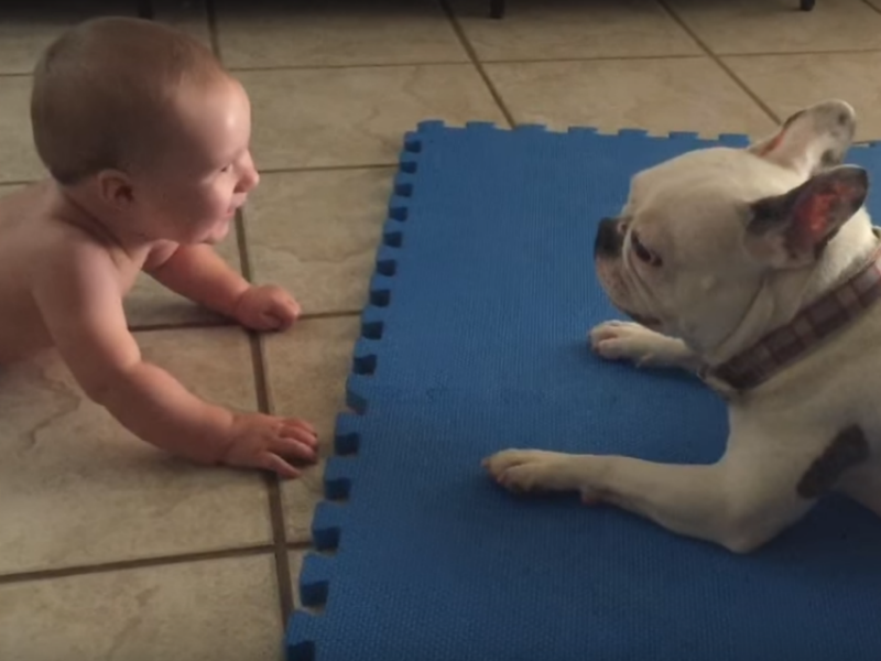 Evo na koji način ovaj pas zasmejava bebu! VIDEO