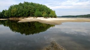Evropski Amazon – divlja priroda na obalama Mure, Drave i Dunava