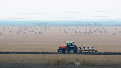 Evropski komesar: SSP ne daje prednost strancima za kupovinu poljoprivrednog zemljišta
