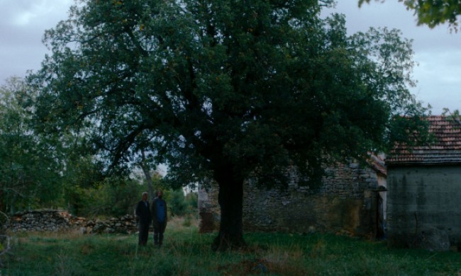 FESTIVAL AUTORSKOG FILMA: Od 21. do 28. novembra u Beogradu i širom Srbije