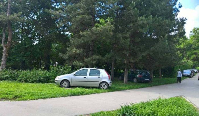FOTO: Desetine vozila se bahato parkirala nasred Futoškog parka