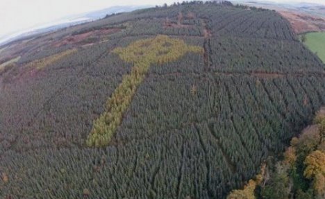 (FOTO) Keltski krst skriven u srcu šume: Neverovatno delo otkriveno 5 godina posle smrti autora