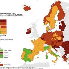 (FOTO) ZABRINJAVAJUĆE SLIKE! Najveći broj zemalja EU u narandžastoj i tamnocrvenoj zoni