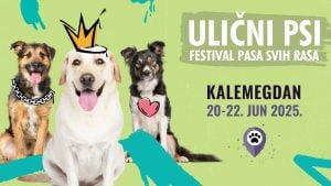 Festival pasa svih rasa „Ulični psi” tradicionalno na Kalemegdanu