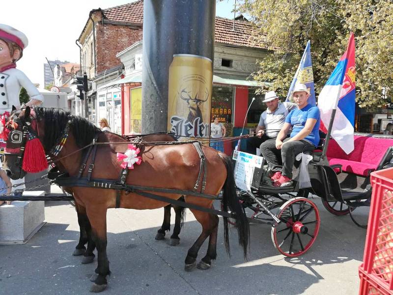 Fijaker s konjima kruži oko Roštiljijade, atrakcija za turiste i decu