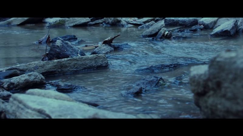 Film Tamne vode - borba protiv trovanja ljudi i zagađenja životne sredine 