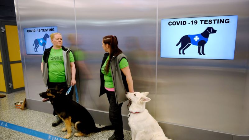 Finska na aerodromu raspoređuje pse koji otkrivaju korona virus