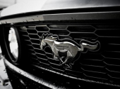 Ford mustang Stiva Mekvina iz Bulita ide na aukciju FOTO, VIDEO