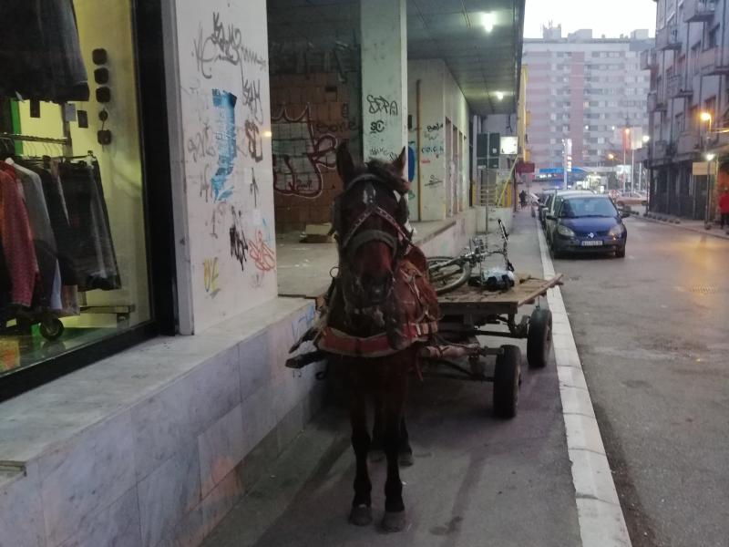Foto-vest: Konj sa zapregom parkiran u centru Niša
