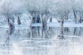 Fotografija i priroda: Kroz čiji se objektiv najbolje videla divljina prošle godine - zaleđeno jezero u Italiji