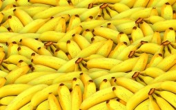 
					Francuska carina zaplenila 26 kilograma kokaina u tovaru banana 
					
									