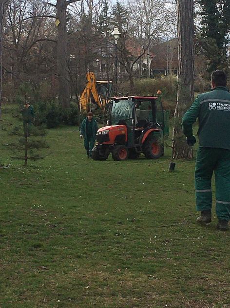 Futoški park dobio nova stabla različitih vrsta drveća