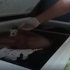 GDE SU ORGANI?! Pojavio se SNIMAK iz bolnice u Kraljevu kad pronalaze 13 MRTVIH BEBA u zamrzivaču (UZNEMIRUJUĆ VIDEO)