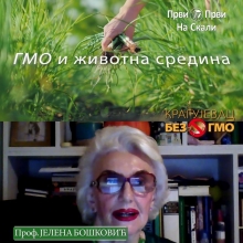 GMO i zivotna sredina - prof. dr Jelena Boskovic (VIDEO)