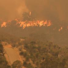 GORI AUSTRALIJA! Preko 50 požara zahvatilo ove delove, EKSTREMNA opasnost preti čitavoj zemlji!