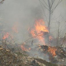 GORI DURMITOR: Požar se širi u dubinu kanjona Tare, jedino se može intervenisati iz vazduha