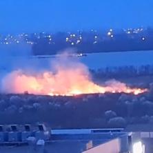 GORI U BEOGRADU: Vatra se vidi izdaleka, zahvaćena je velika površina (VIDEO)